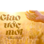 Giao ước mới – Chúa nhật V mùa Chay – Năm B