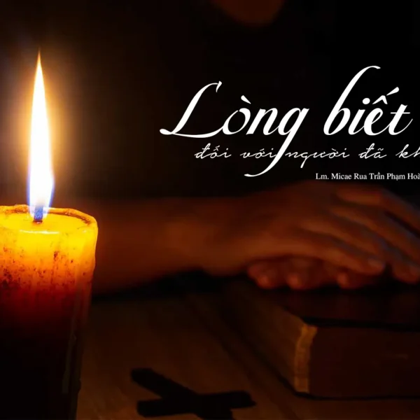 Lòng biết ơn đối với người đã khuất:&hellip;