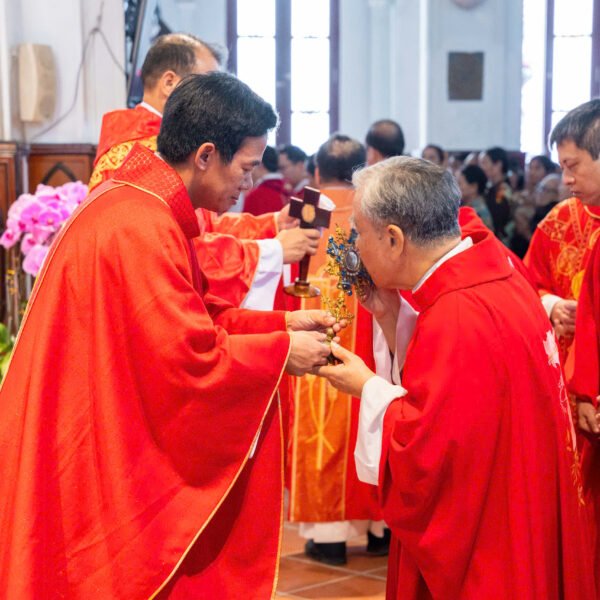 Đi Lại Con Đường Đức Ki-tô Đã Đi…