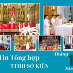 Tin tổng hợp TTHH Sở Kiện tháng 12/2024