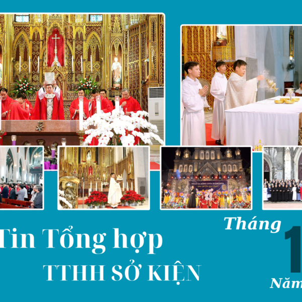 Tin tổng hợp TTHH Sở Kiện tháng 12/2024