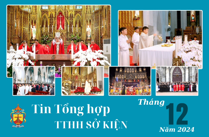 Tin tổng hợp TTHH Sở Kiện tháng 12/2024