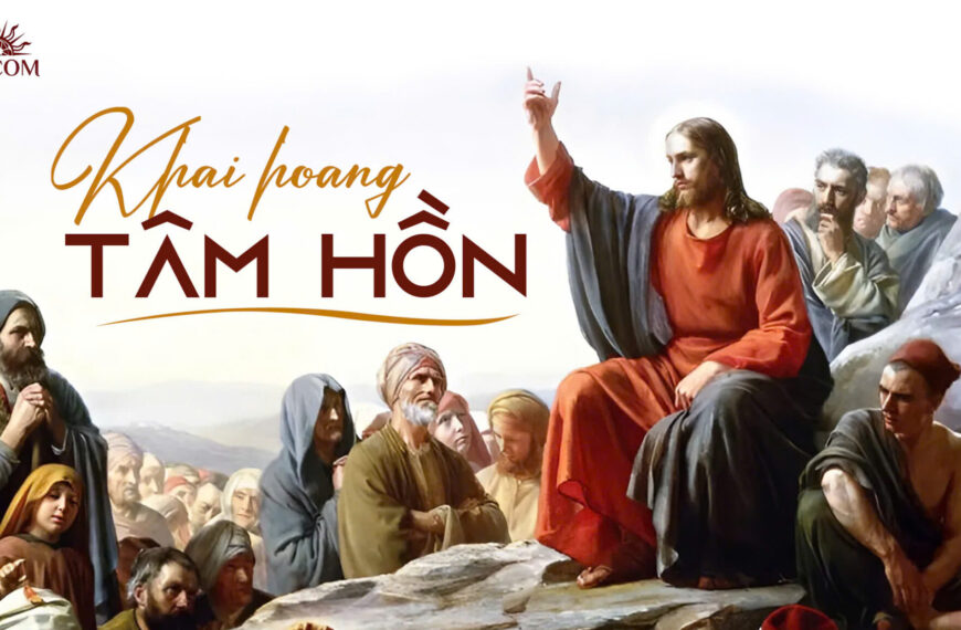 Khai hoang tâm hồn (Lc 3, 1-6) | Suy tư TMCN 2 mùa Vọng năm C