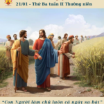 Ngày 21/01: Thứ Ba tuần II Thường niên