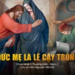 Đức Mẹ là lẽ cậy trông – Chúa Nhật II Thường niên – Năm C