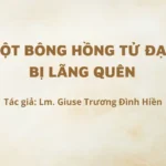 Một Bông Hồng Tử Đạo bị lãng quên