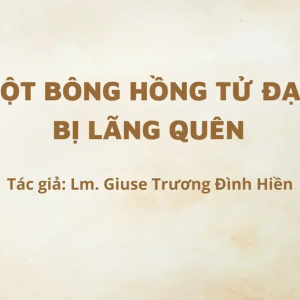 Một Bông Hồng Tử Đạo bị lãng quên