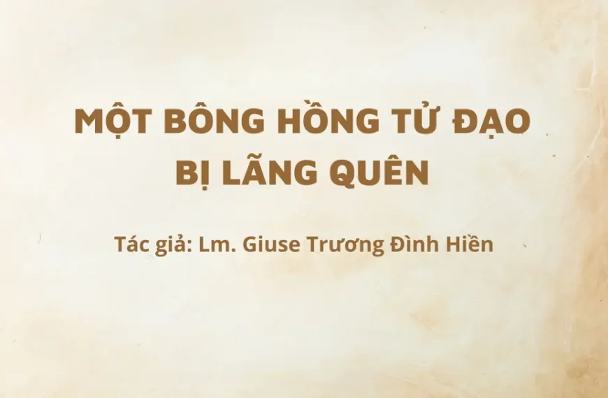 Một Bông Hồng Tử Đạo bị lãng quên