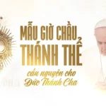 Mẫu Chầu Thánh Thể cầu nguyện cho Đức Thánh Cha