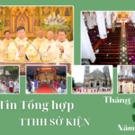 Tin tổng hợp TTHH Sở Kiện tháng 3/2025