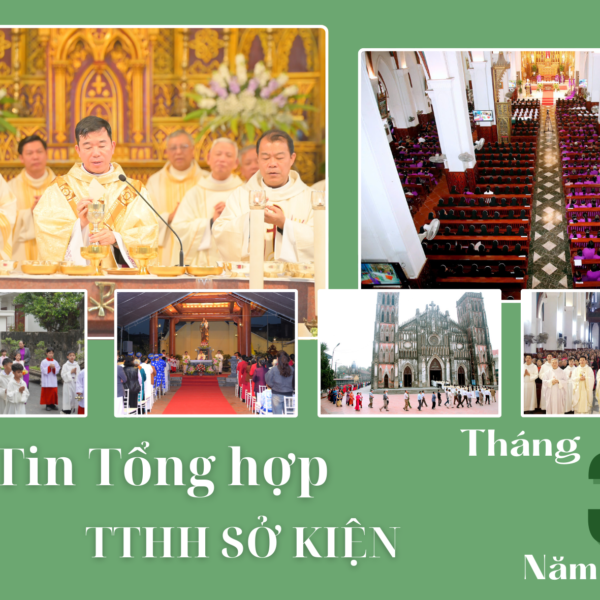 Tin tổng hợp TTHH Sở Kiện tháng 3/2025