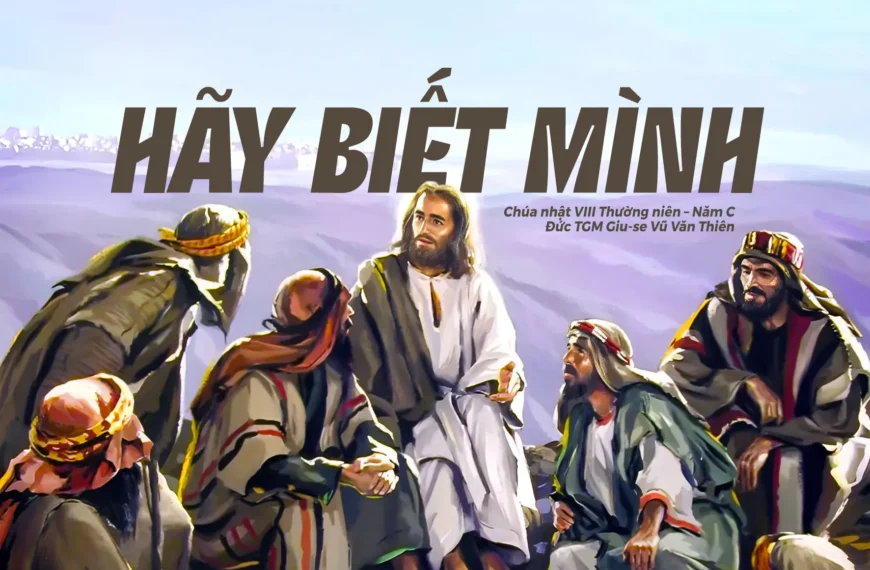 Hãy biết mình – Chúa Nhật VIII Thường…