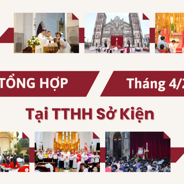 Tin tổng hợp TTHH Sở Kiện tháng 4/2025