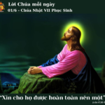 Ngày 01/6: Chúa Nhật VII Phục Sinh