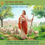 Ngày 11/5: Chúa Nhật IV Phục Sinh
