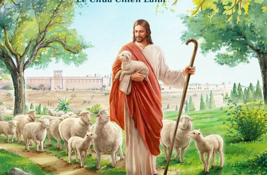 Ngày 11/5: Chúa Nhật IV Phục Sinh