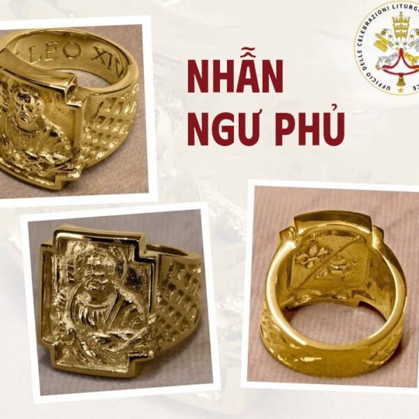 Nhẫn Ngư Phủ và Dây Pallium sẽ được…