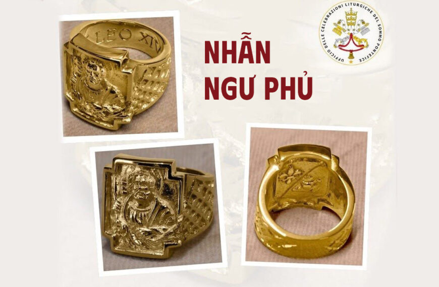 Nhẫn Ngư Phủ và Dây Pallium sẽ được&hellip;