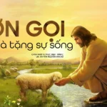 Ơn gọi: Quà tặng sự sống – Chúa nhật IV Phục sinh – Năm C