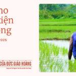 Tháng 5/2025: Cầu nguyện cho điều kiện lao động