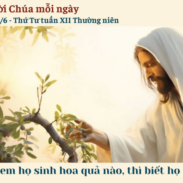 Ngày 25/6: Thứ Tư tuần XII Thường niên