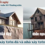 Ngày 26/6: Thứ Năm tuần XII Thường niên