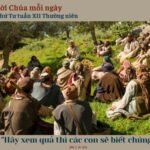 Thứ Tư tuần XII Thường niên