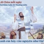 Thứ Năm tuần XI Thường niên