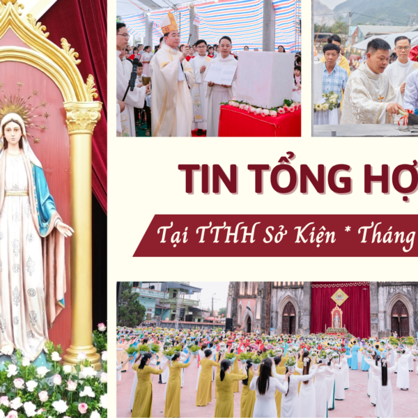 Tin tổng hợp TTHH Sở Kiện tháng 5/2025