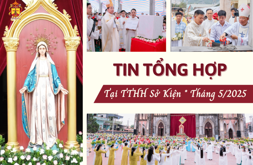 Tin tổng hợp TTHH Sở Kiện tháng 5/2025