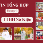 Tin tổng hợp TTHH Sở Kiện tháng 6/2025