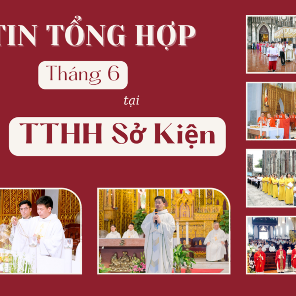 Tin tổng hợp TTHH Sở Kiện tháng 6/2025