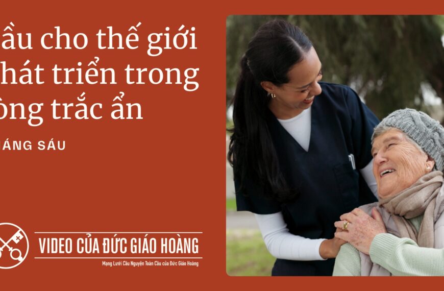 Tháng 6/2025: Cầu cho thế giới phát triển&hellip;