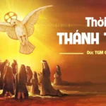 Thời của Thánh Thần – Chúa nhật Chúa Thánh Thần Hiện Xuống