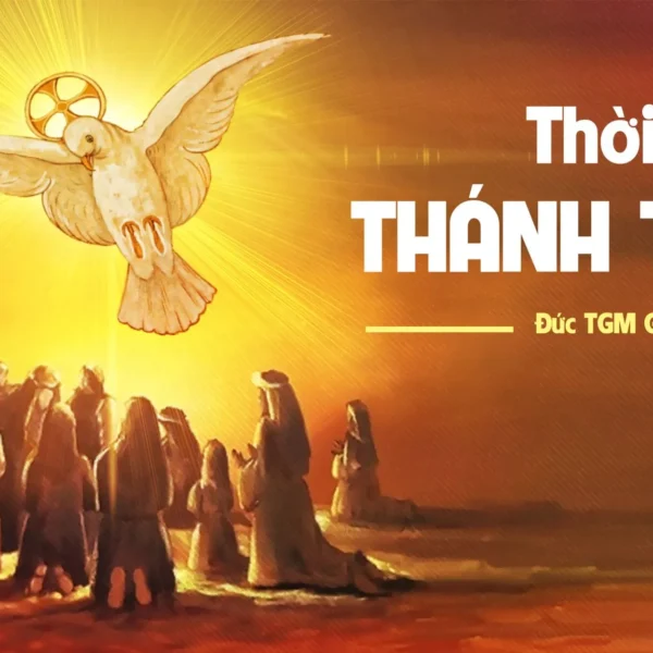 Thời của Thánh Thần – Chúa nhật Chúa&hellip;
