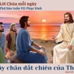 Thứ Sáu tuần VII Phục Sinh