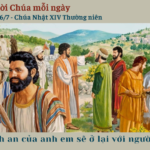 Ngày 06/7: Chúa Nhật XIV Thường niên