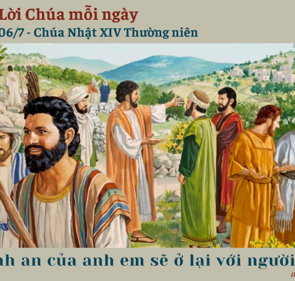 Ngày 06/7: Chúa Nhật XIV Thường niên
