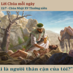 Ngày 13/7: Chúa Nhật XV Thường niên