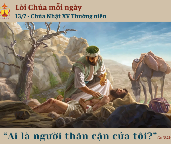 Ngày 13/7: Chúa Nhật XV Thường niên