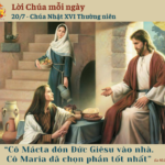 Ngày 20/7: Chúa Nhật XVI Thường niên