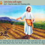 Ngày 23/7: Thứ Tư tuần XVI Thường niên