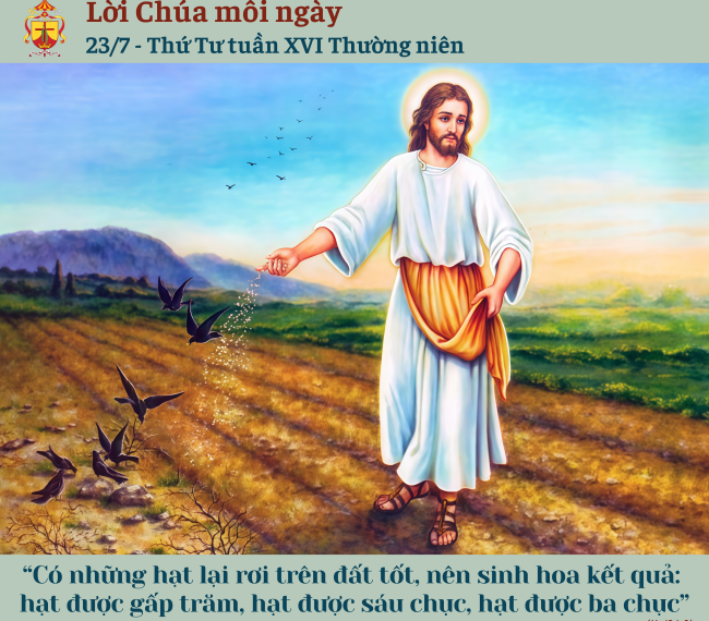 Ngày 23/7: Thứ Tư tuần XVI Thường niên