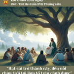 Ngày 28/7: Thứ Hai tuần XVII Thường niên