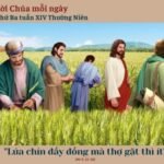 Thứ Ba tuần XIV Thường niên