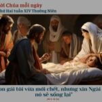 Thứ Hai tuần XIV Thường niên
