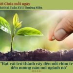 Thứ Hai tuần XVII Thường niên