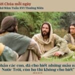 Thứ Năm tuần XVI Thường niên