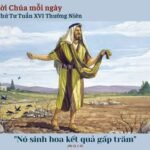 Thứ Tư tuần XVI Thường niên