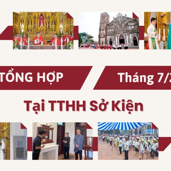 Tin tổng hợp TTHH Sở Kiện tháng 7/2025